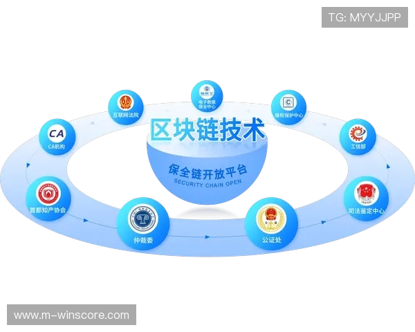 区块链鉴权体系现已嵌入交付全链路 完善了体育内容的权益保障机制