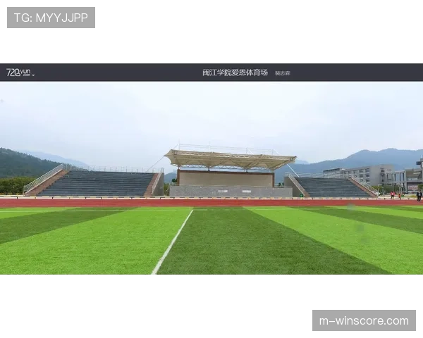 深度报道：里昂“新灯光球场”扩建工程延期，对俱乐部财政收入的影响评估